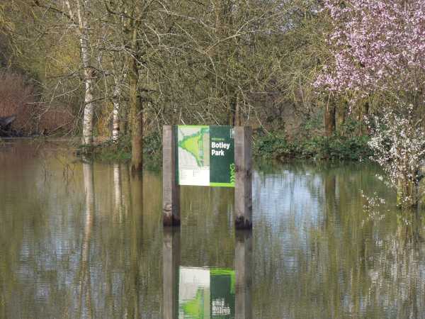 This newly formed lake is where Botley park tends to be
